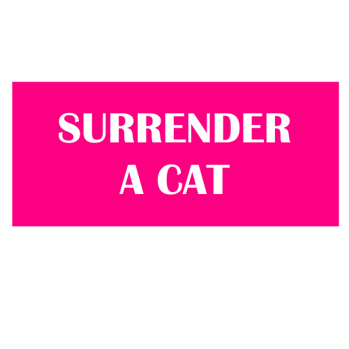 Surrender an Animal - Little Legs Dog & Cat Rescue Qld